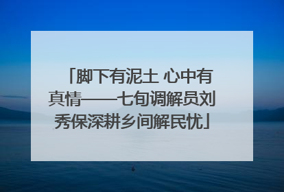 脚下有泥土 心中有真情——七旬调解员刘秀保深耕乡间解民忧