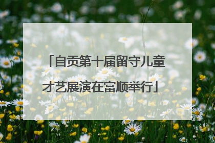 自贡第十届留守儿童才艺展演在富顺举行