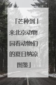 芒种到丨来北京动物园看动物们的夏日纳凉图鉴