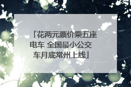 花两元票价乘五座电车 全国最小公交车月底常州上线