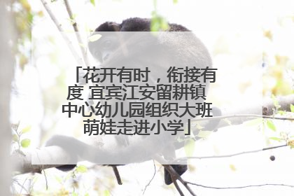 花开有时，衔接有度 宜宾江安留耕镇中心幼儿园组织大班萌娃走进小学