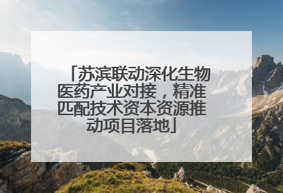 苏滨联动深化生物医药产业对接,精准匹配技术资本资源推动项目落地