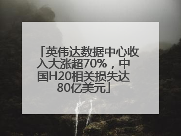 英伟达数据中心收入大涨超70%，中国H20相关损失达80亿美元