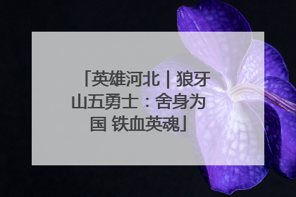 英雄河北｜狼牙山五勇士：舍身为国 铁血英魂