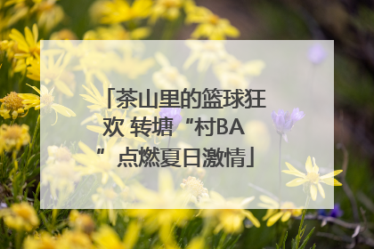 茶山里的篮球狂欢 转塘“村BA”点燃夏日激情