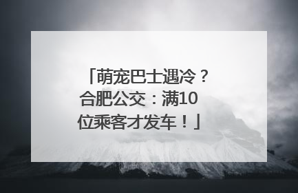 萌宠巴士遇冷？合肥公交：满10位乘客才发车！