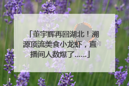 董宇辉再回湖北！溯源顶流美食小龙虾，直播间人数爆了……