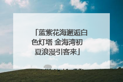 蓝紫花海邂逅白色灯塔 金海湾初夏浪漫引客来