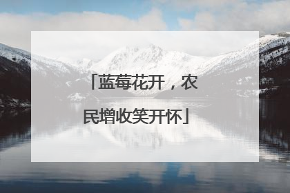 蓝莓花开，农民增收笑开怀