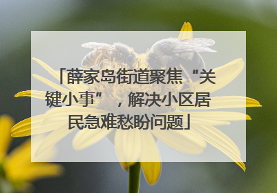薛家岛街道聚焦“关键小事”，解决小区居民急难愁盼问题
