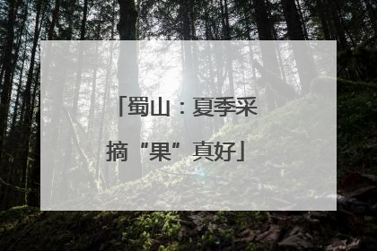 蜀山：夏季采摘“果”真好