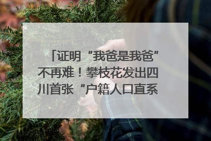 证明“我爸是我爸”不再难！攀枝花发出四川首张“户籍人口直系亲属关系谱”