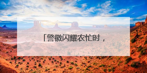 警徽闪耀农忙时，仪征多措并举守护百姓“粮袋子”