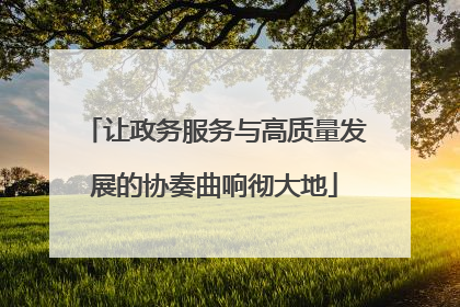 让政务服务与高质量发展的协奏曲响彻大地