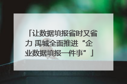 让数据填报省时又省力 禹城全面推进“企业数据填报一件事”