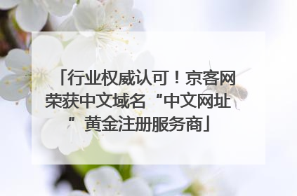 行业权威认可！京客网荣获中文域名“中文网址”黄金注册服务商