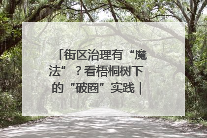 街区治理有“魔法”？看梧桐树下的“破圈”实践｜我在街区当书记