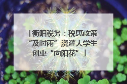 衡阳税务：税惠政策“及时雨”浇灌大学生创业“向阳花”