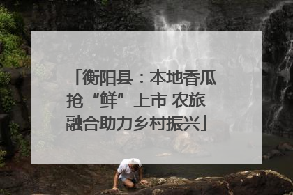 衡阳县：本地香瓜抢“鲜”上市 农旅融合助力乡村振兴