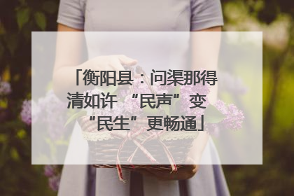 衡阳县：问渠那得清如许 “民声”变“民生”更畅通