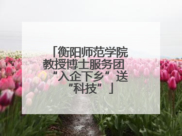 衡阳师范学院教授博士服务团“入企下乡”送“科技”