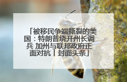 被移民争端撕裂的美国：特朗普绕开州长调兵 加州与联邦政府正面对抗丨封面头条