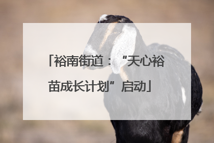 裕南街道：“天心裕苗成长计划”启动