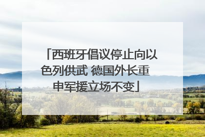 西班牙倡议停止向以色列供武 德国外长重申军援立场不变