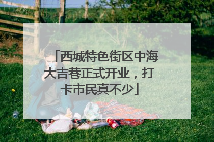 西城特色街区中海大吉巷正式开业，打卡市民真不少