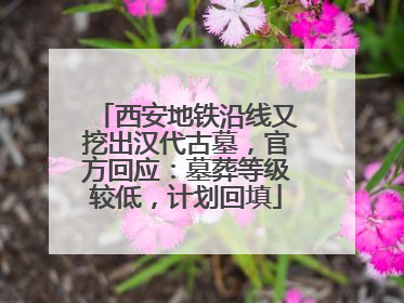 西安地铁沿线又挖出汉代古墓，官方回应：墓葬等级较低，计划回填