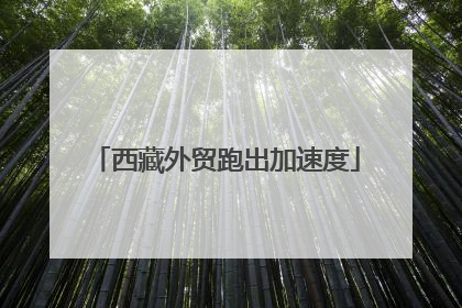西藏外贸跑出加速度