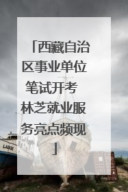 西藏自治区事业单位笔试开考 林芝就业服务亮点频现