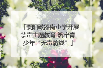 襄阳磁器街小学开展禁毒主题教育 筑牢青少年“无毒防线”