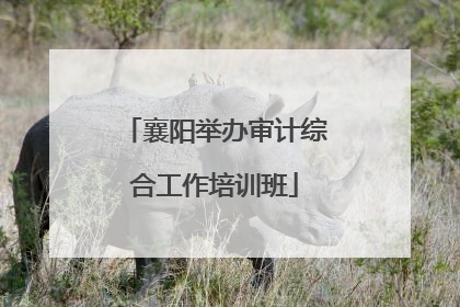 襄阳举办审计综合工作培训班