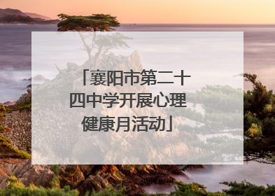 襄阳市第二十四中学开展心理健康月活动