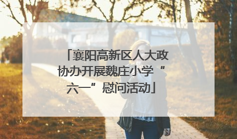襄阳高新区人大政协办开展魏庄小学“六一”慰问活动