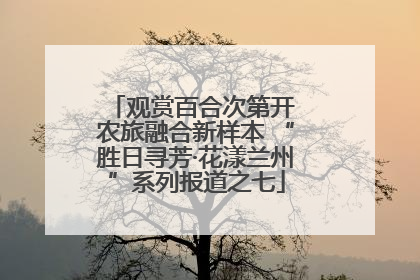 观赏百合次第开 农旅融合新样本 “胜日寻芳·花漾兰州”系列报道之七
