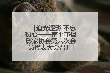 追光逐影 不忘初心——南平市摄影家协会第六次会员代表大会召开