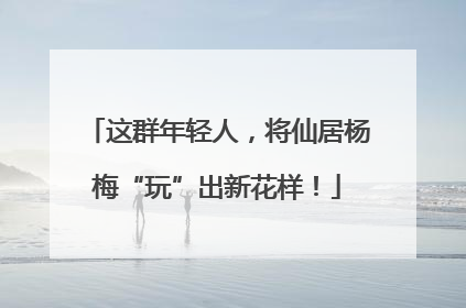这群年轻人，将仙居杨梅“玩”出新花样！