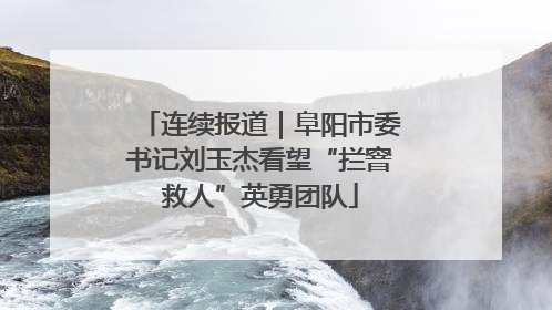 连续报道｜阜阳市委书记刘玉杰看望“拦窨救人”英勇团队