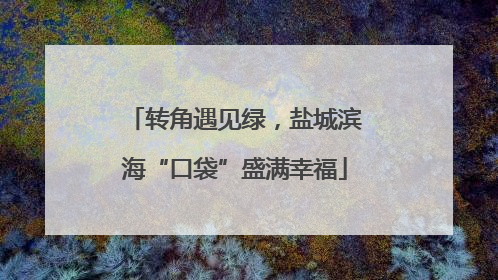 转角遇见绿，盐城滨海“口袋”盛满幸福