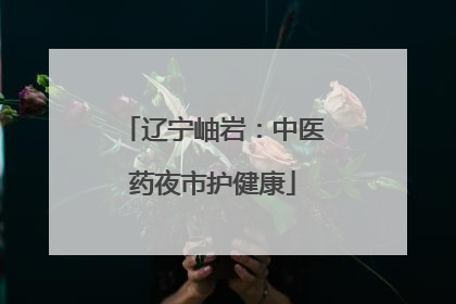 辽宁岫岩：中医药夜市护健康