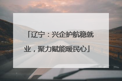 辽宁：兴企护航稳就业，聚力赋能暖民心