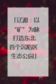 辽源：以“矿”为脉 打造东北首个沉陷区生态公园