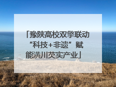 豫陕高校双擎联动 “科技+非遗”赋能潢川芡实产业