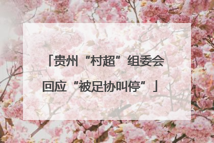 贵州“村超”组委会回应“被足协叫停”