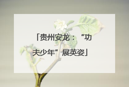 贵州安龙：“功夫少年”展英姿