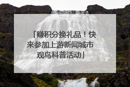 赚积分换礼品！快来参加上游新闻城市观鸟科普活动