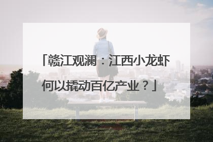 赣江观澜：江西小龙虾何以撬动百亿产业？