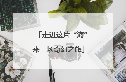 走进这片“海”来一场奇幻之旅